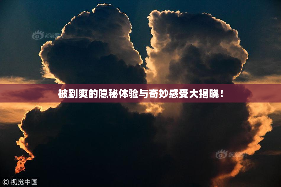 被到爽的隐秘体验与奇妙感受大揭晓！