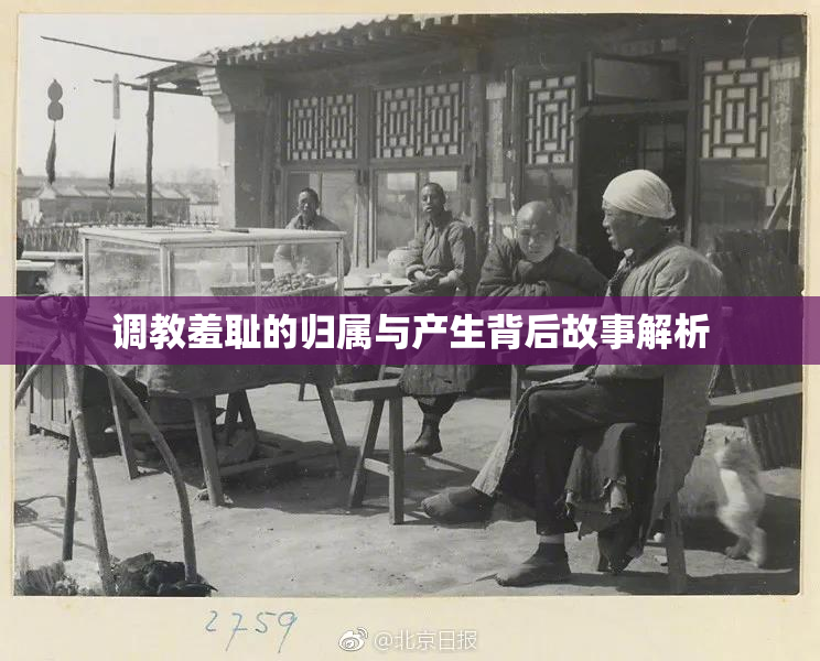 调教羞耻的归属与产生背后故事解析