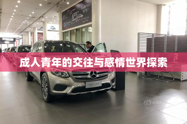 成人青年的交往与感情世界探索