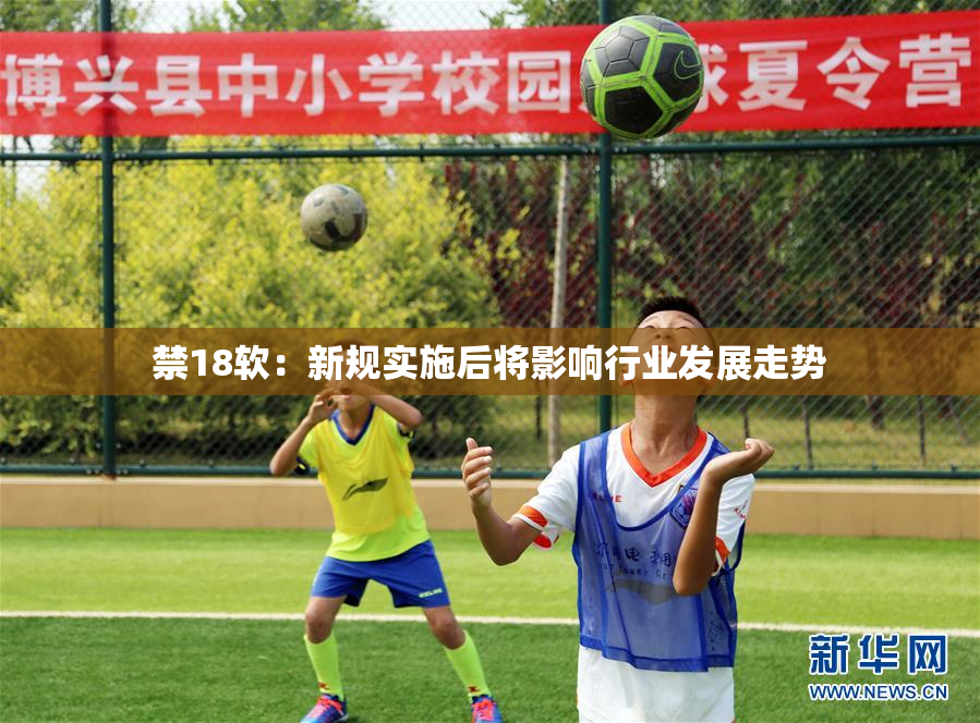 禁18软：新规实施后将影响行业发展走势
