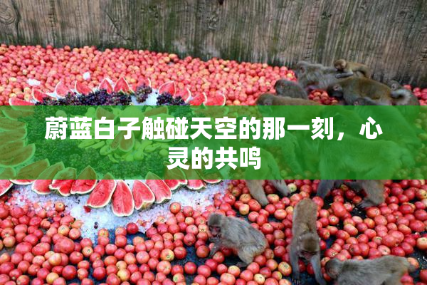 蔚蓝白子触碰天空的那一刻，心灵的共鸣