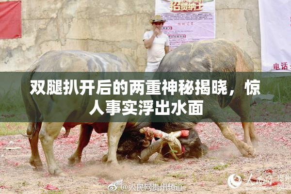 双腿扒开后的两重神秘揭晓，惊人事实浮出水面
