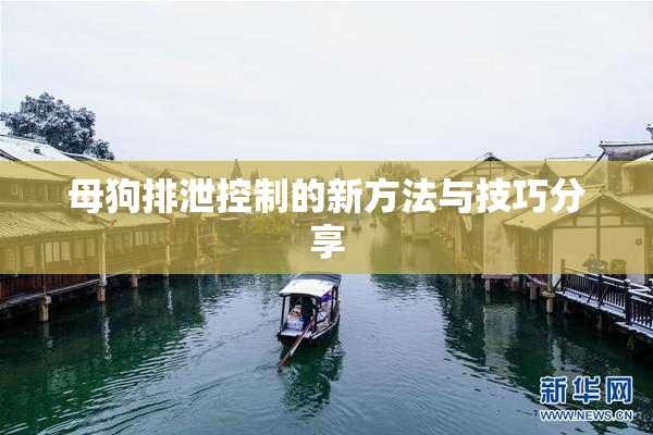 母狗排泄控制的新方法与技巧分享