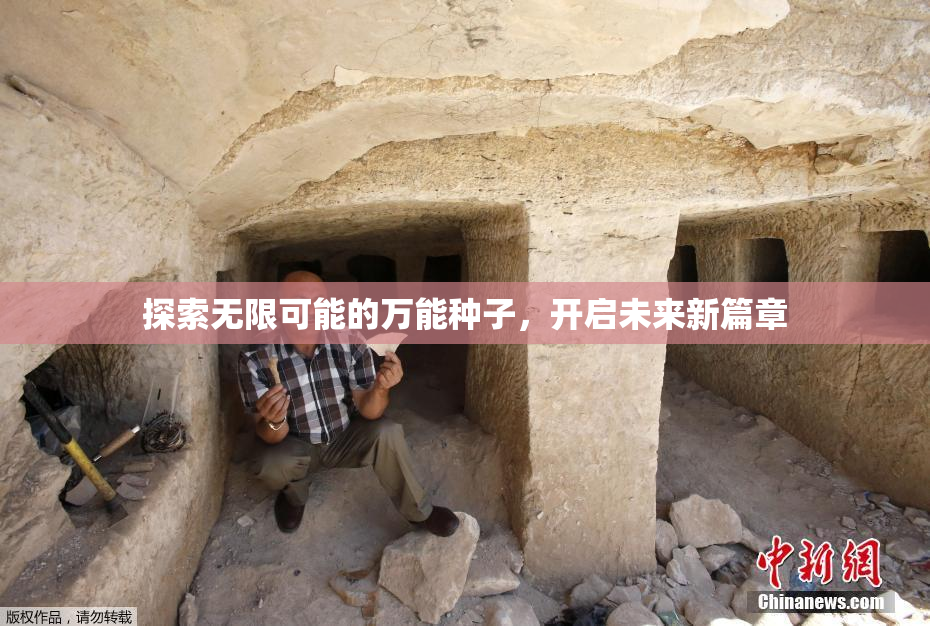 探索无限可能的万能种子，开启未来新篇章