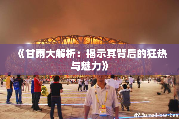 《甘雨大解析：揭示其背后的狂热与魅力》