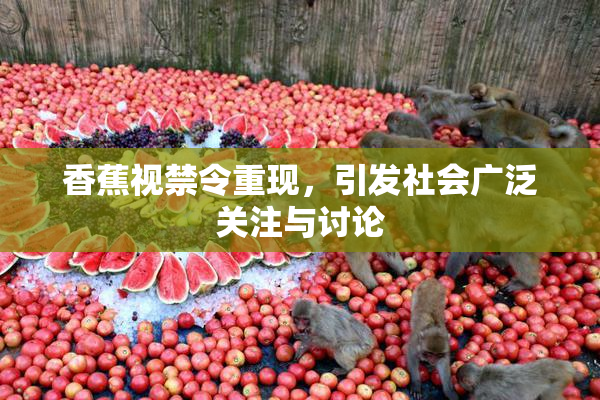 香蕉视禁令重现，引发社会广泛关注与讨论