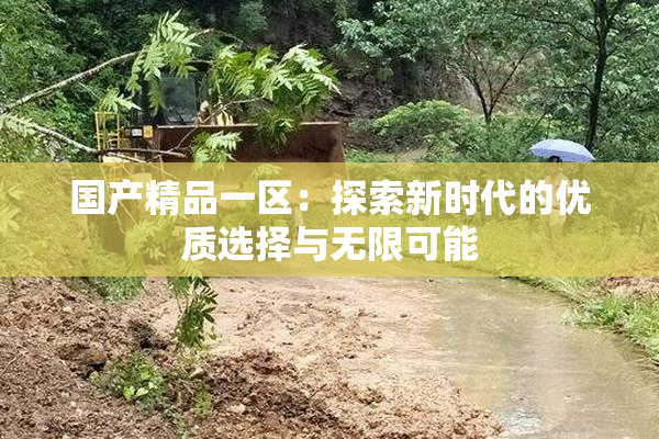 国产精品一区：探索新时代的优质选择与无限可能