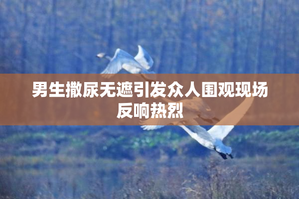 男生撒尿无遮引发众人围观现场反响热烈