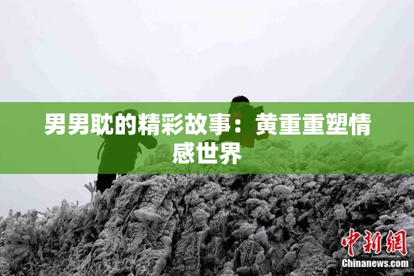 男男耽的精彩故事：黄重重塑情感世界