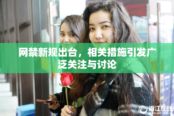 网禁新规出台，相关措施引发广泛关注与讨论