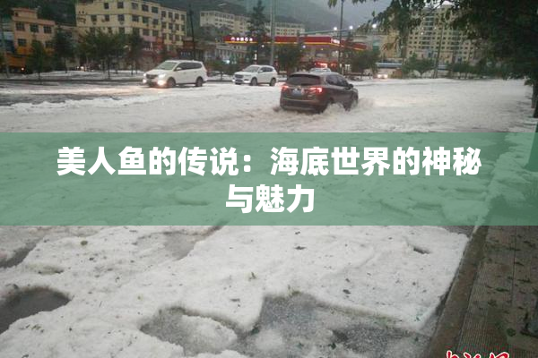 美人鱼的传说：海底世界的神秘与魅力