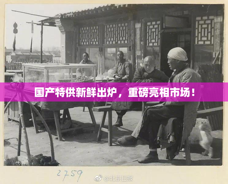 国产特供新鲜出炉，重磅亮相市场！