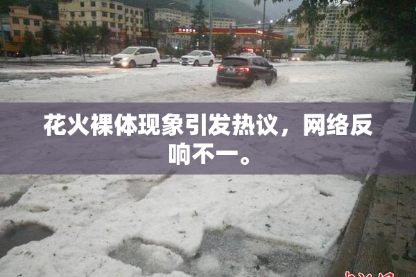 花火裸体现象引发热议，网络反响不一。