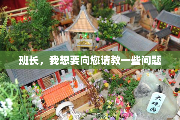班长，我想要向您请教一些问题