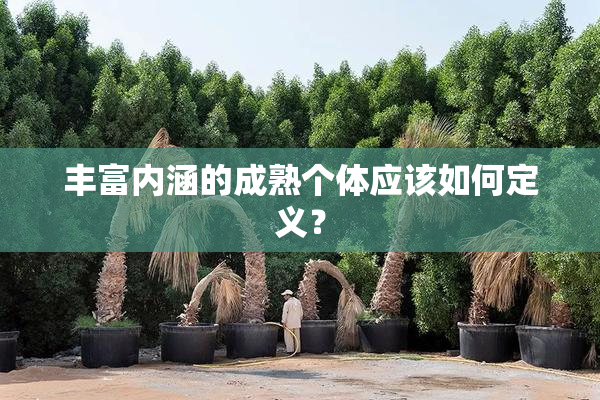 丰富内涵的成熟个体应该如何定义？