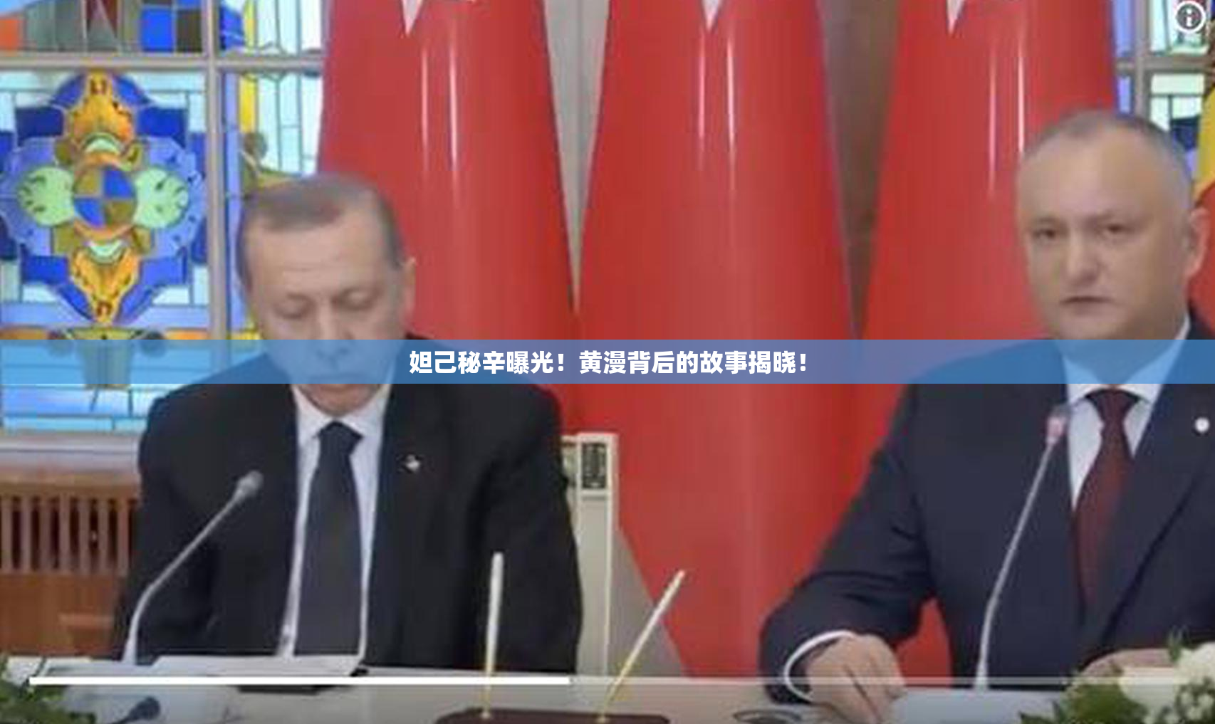 妲己秘辛曝光！黄漫背后的故事揭晓！
