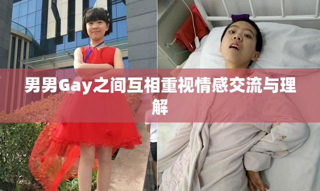 男男Gay之间互相重视情感交流与理解