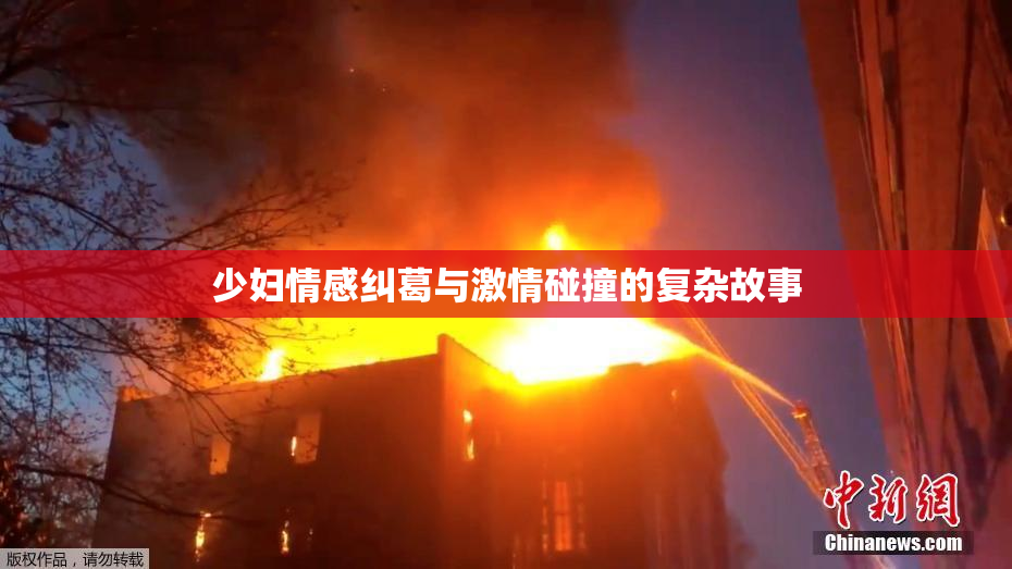 少妇情感纠葛与激情碰撞的复杂故事