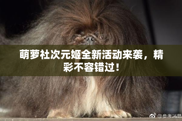 萌萝社次元姬全新活动来袭，精彩不容错过！
