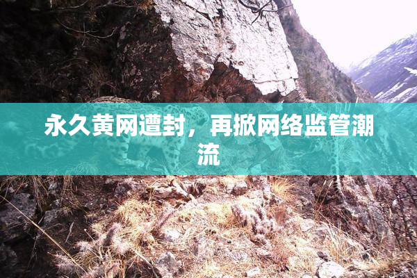永久黄网遭封，再掀网络监管潮流