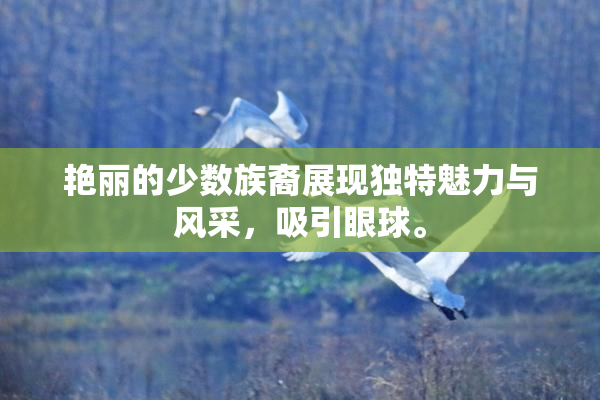 艳丽的少数族裔展现独特魅力与风采，吸引眼球。