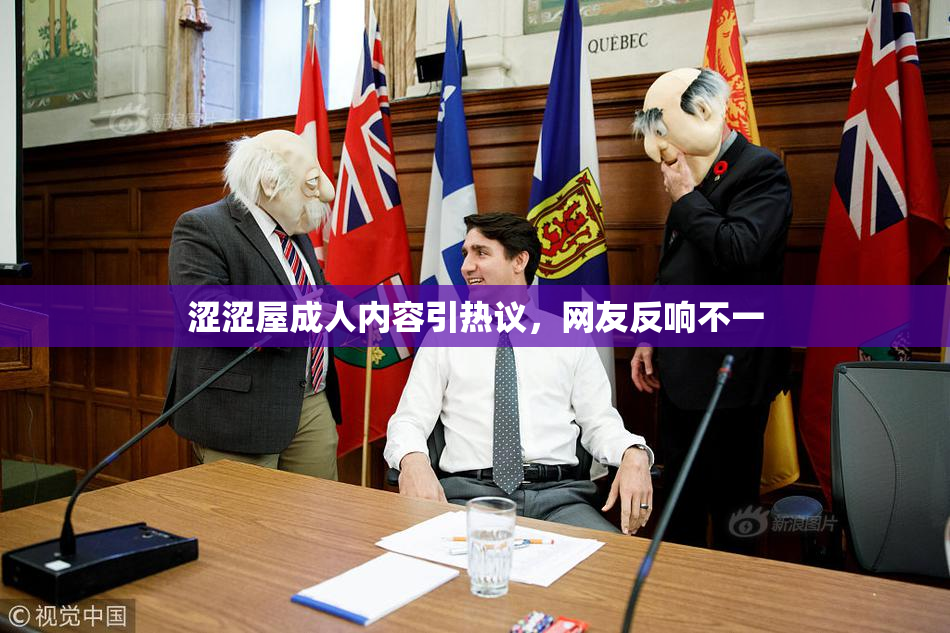 涩涩屋成人内容引热议，网友反响不一