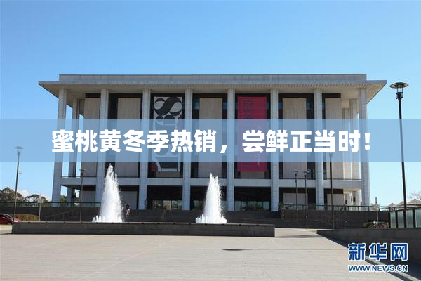蜜桃黄冬季热销，尝鲜正当时！
