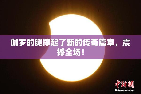 伽罗的腿撑起了新的传奇篇章，震撼全场！