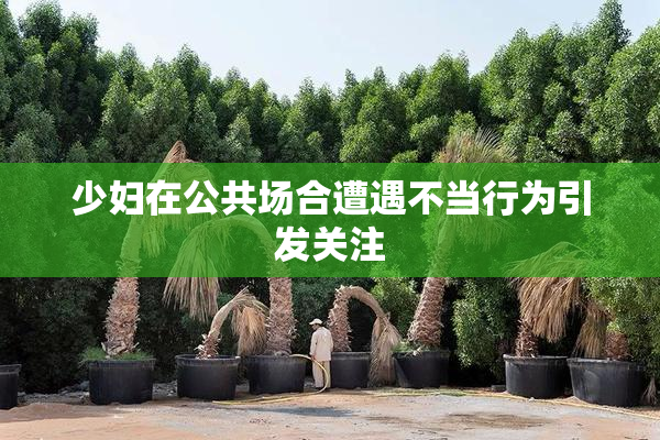 少妇在公共场合遭遇不当行为引发关注