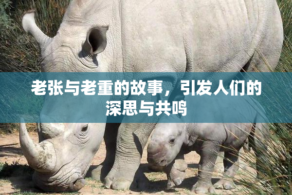 老张与老重的故事，引发人们的深思与共鸣