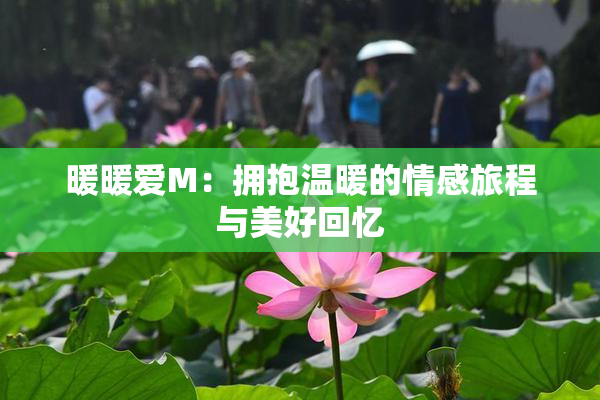 暖暖爱M：拥抱温暖的情感旅程与美好回忆