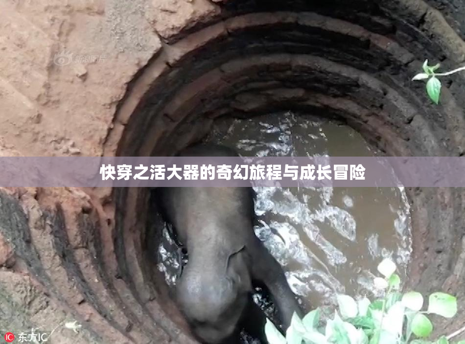 快穿之活大器的奇幻旅程与成长冒险