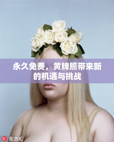 永久免费，黄牌照带来新的机遇与挑战