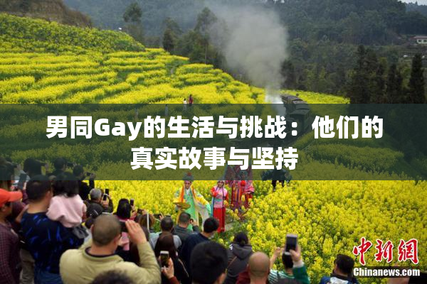 男同Gay的生活与挑战：他们的真实故事与坚持
