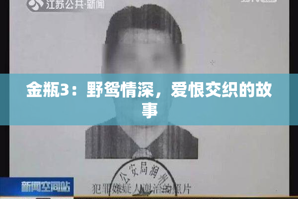 金瓶3：野鸳情深，爱恨交织的故事