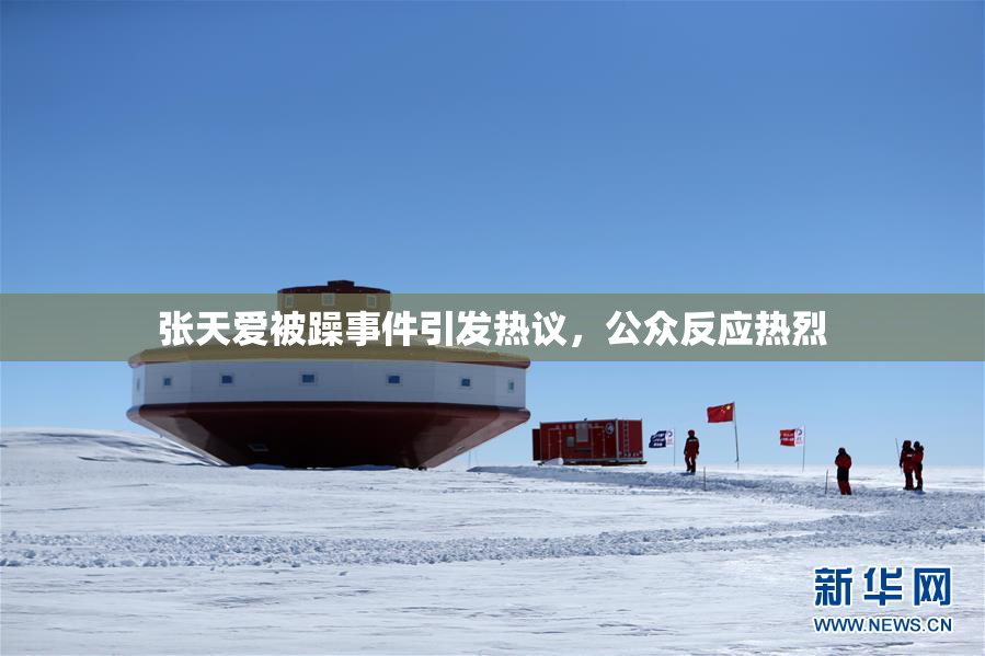 张天爱被躁事件引发热议，公众反应热烈