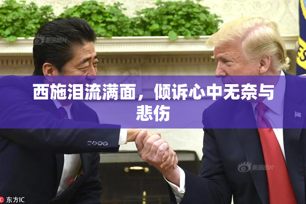 西施泪流满面，倾诉心中无奈与悲伤