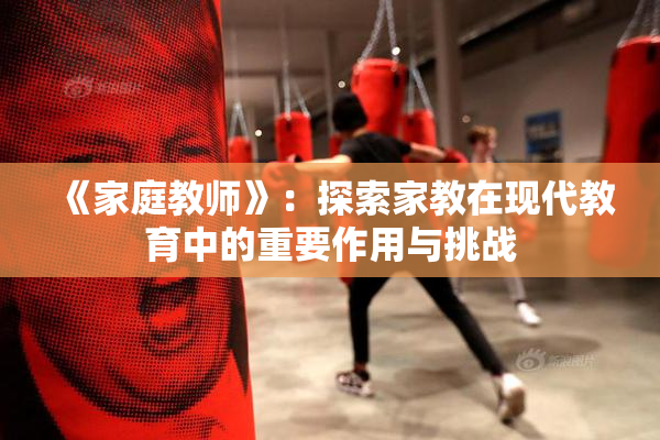 《家庭教师》：探索家教在现代教育中的重要作用与挑战