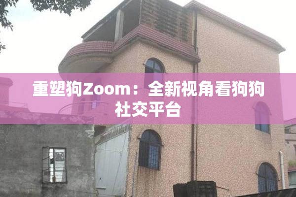 重塑狗Zoom：全新视角看狗狗社交平台
