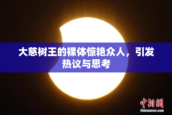 大慈树王的裸体惊艳众人，引发热议与思考