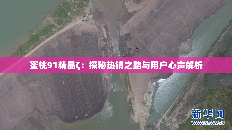 蜜桃91精品ζ：探秘热销之路与用户心声解析