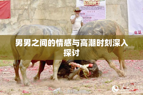 男男之间的情感与高潮时刻深入探讨