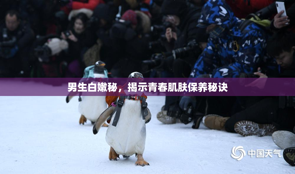 男生白嫩秘，揭示青春肌肤保养秘诀