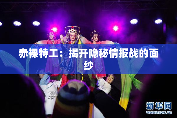 赤裸特工：揭开隐秘情报战的面纱