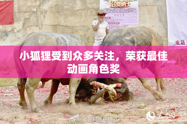 小狐狸受到众多关注，荣获最佳动画角色奖