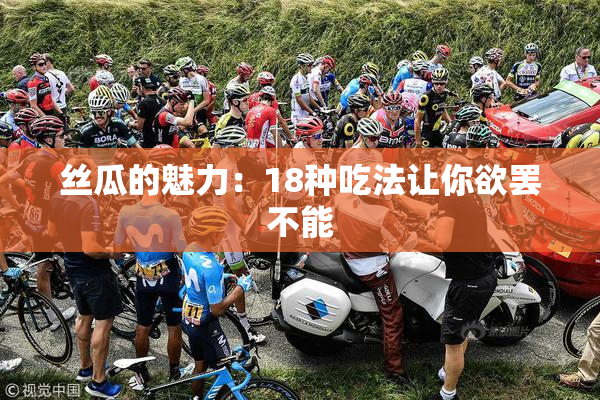 丝瓜的魅力：18种吃法让你欲罢不能