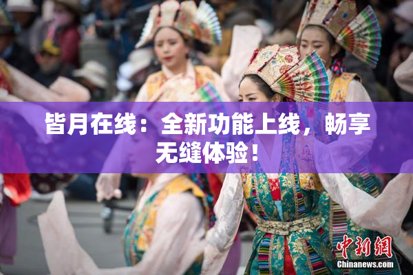皆月在线：全新功能上线，畅享无缝体验！