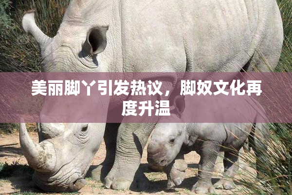 美丽脚丫引发热议，脚奴文化再度升温