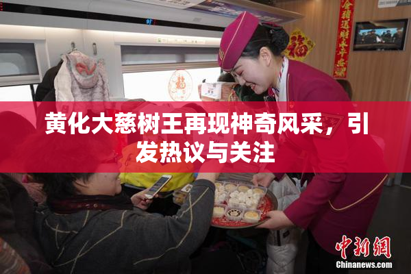 黄化大慈树王再现神奇风采，引发热议与关注