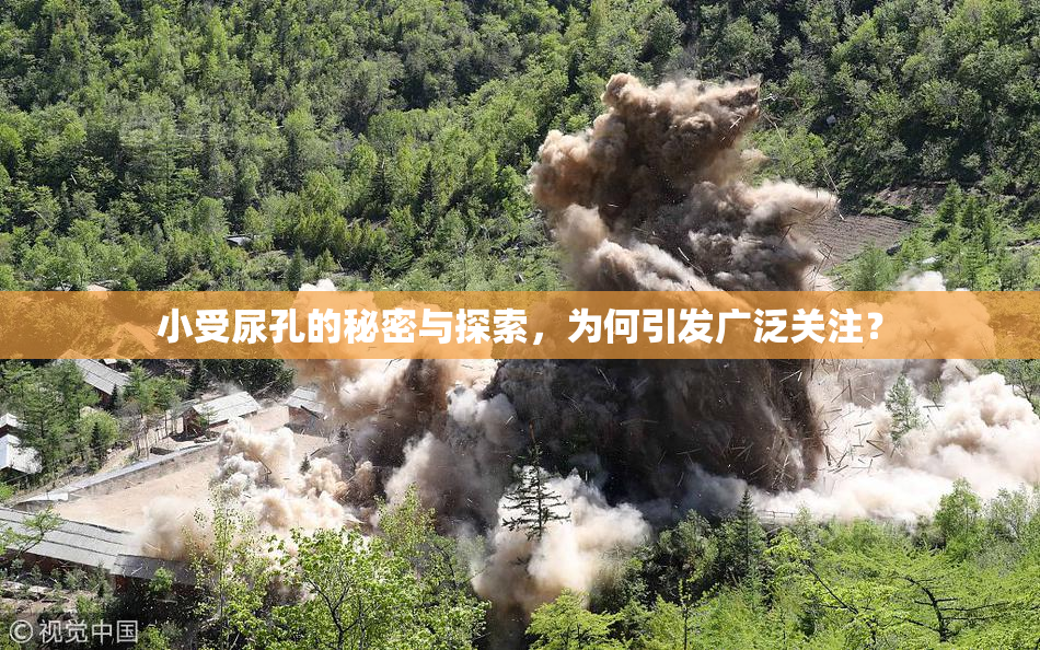 小受尿孔的秘密与探索，为何引发广泛关注？